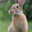 Joerg_Riether