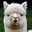 MattCooke