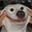 hcdave